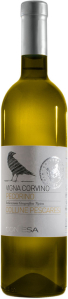 Contesa di Rocco Pasetti Pecorino IGT Colli Aprutini