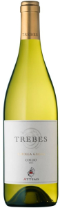 Conti Attems Soc. Agr. Attems Trebes Ribolla Gialla Collio DOC