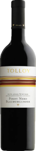 Pinot Nero Tolloy DOC Mezzacorona Alto Adige