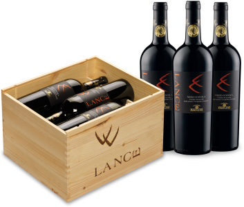 Lance Nero d'Avola Sicilia DOC in 6er HK 2022 Cantine Paolini Sizilien