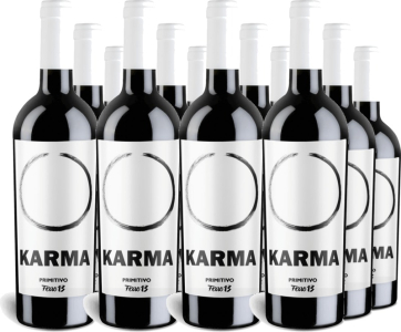 Ferro 13 12er Vorteilspaket Karma Primitivo Salento IGT