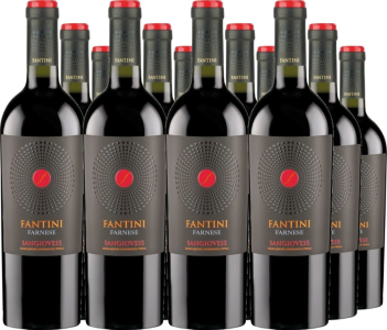12er Vorteilspaket Fantini Sangiovese Terre di Chieti IGT
