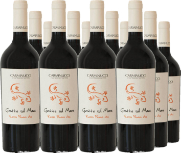 12er Vorteilspaket Rosso Piceno Grotte sul Mare DOC
