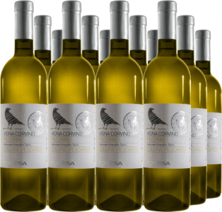 12er Vorteilspaket Pecorino IGT Colli Aprutini