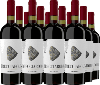 12er Vorteilspaket Brecciarolo Rosso Piceno DOC Superiore