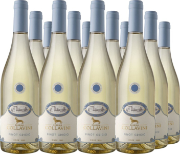 12er Vorteilspaket Villa Canlungo Pinot Grigio IGT Venezia Giulia