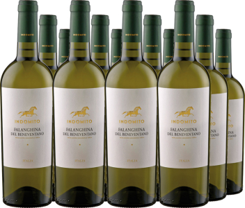 Indomito 12er Vorteilspaket Falanghina del Beneventano Indomito IGT