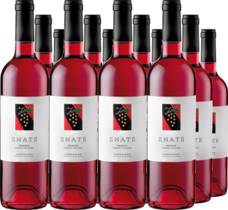 12er Vorteilspaket Enate Rosado DO