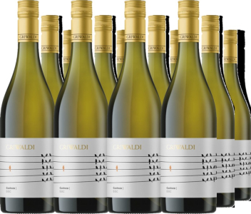 Griwaldi 12er Vorteilspaket Custoza DOC Griwaldi