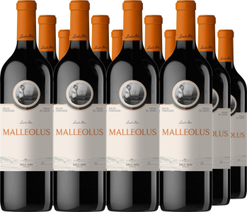 12er Vorteilspaket Malleolus