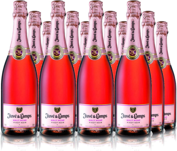 12er Vorteilspaket Juve Y Camps Brut