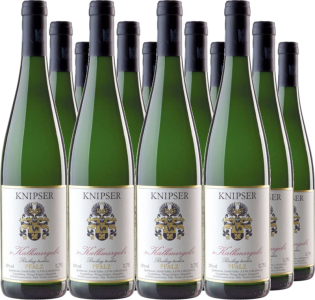 12er Vorteilspaket Riesling "Kalkmergel" Pfalz QbA trocken