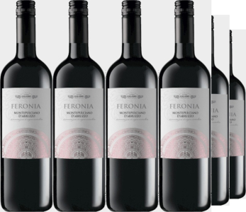 Cantine Galasso 12er Vorteilspaket Montepulciano d