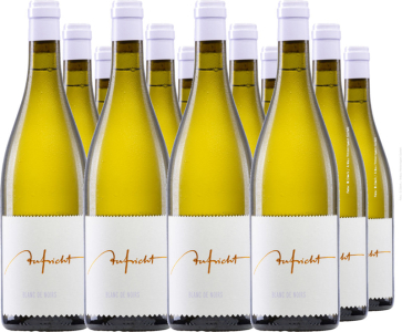 12er Vorteilspaket Aufricht Blanc de Noir