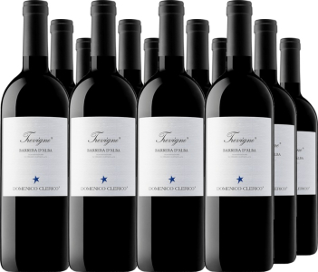 12er Vorteilspaket Barbera d'Alba DOC Trevigne