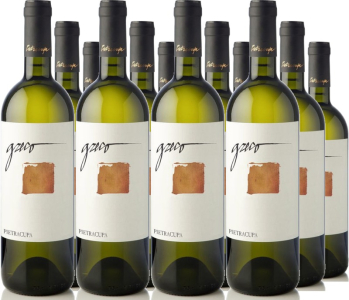 12er Vorteilspaket Greco di Tufo DOCG