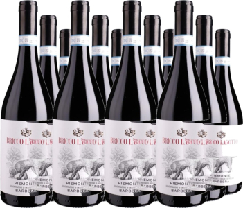 Bricco Lagotto 12er Vorteilspaket Barbera Piemonte DOC