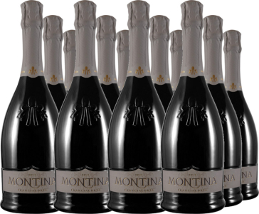 12er Vorteilspaket Franciacorta DOCG Brut