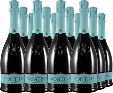 12er Vorteilspaket Franciacorta DOCG Saten