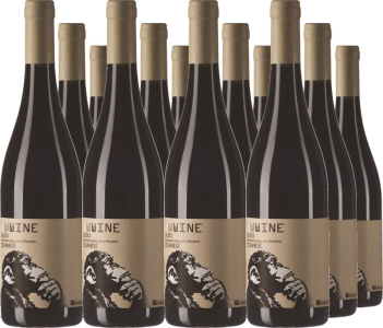 12er Vorteilspaket WWWine Cesanese Lazio IGT