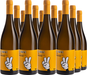 12er Vorteilspaket Le Coste Vermentino Lazio IGT