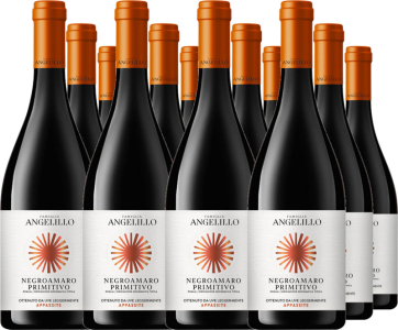 12er Vorteilspaket Negroamaro Primitivo Appassite