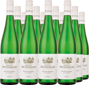 12er Vorteilspaket Grüner Veltliner Berg Vogelsang
