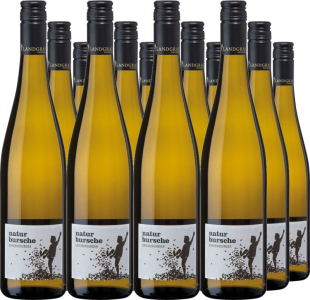 Landgraf 12er Vorteilspaket Grauburgunder QbA trocken Naturbursche
