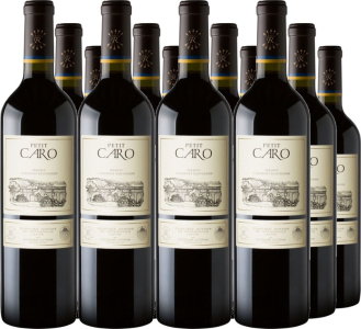 Bodegas Caro 12er Vorteilspaket Bodegas Caro Petit Caro Mendoza