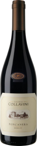 Merlot Poncanera Venezia Giulia IGT