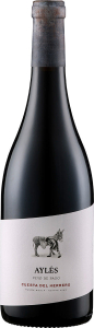 Bodega Pago Aylés Cuesta del Herrero - Vino de Pago