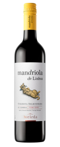 Tinto 2020 Mandriola de Lisboa Lisboa