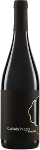 Cañada Negra Reserva DO 2016 Bodegas Enguera Valencia