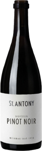 Nierstein Pinot Noir QbA trocken St. Antony Rheinhessen