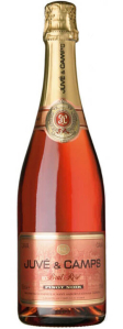 Juve y Camps Juve y Camps Brut Rose Pinot Noir