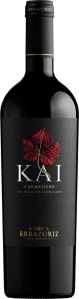 KAI Carmenere 2022 Vina Errazuriz 