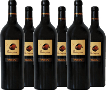 6er Vorteilspaket Paccaosso Marche Rosso IGT