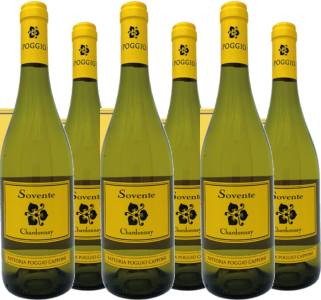 Poggio Capponi 6er Vorteilspaket Bianco Toscana Sovente IGT