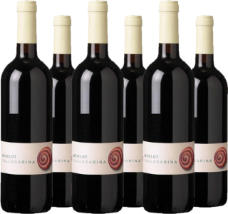 Cantina Valdadige 6er Vorteilspaket Merlot Vallagarina IGT