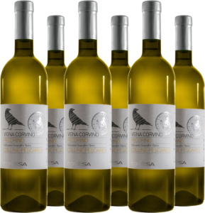 6er Vorteilspaket Pecorino IGT Colli Aprutini