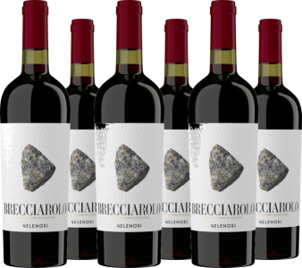 6er Vorteilspaket Brecciarolo Rosso Piceno DOC Superiore