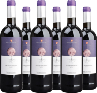 6er Vorteilspaket Valdehermoso Joven Ribera del Duero DO