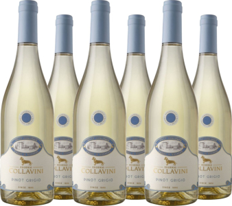 6er Vorteilspaket Villa Canlungo Pinot Grigio IGT Venezia Giulia