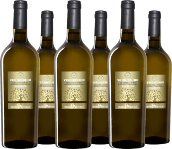 6er Vorteilspaket Querci Antica Verdicchio dei Castelli di Jesi Classico DOC