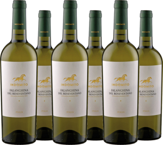 Indomito 6er Vorteilspaket Falanghina del Beneventano Indomito IGT