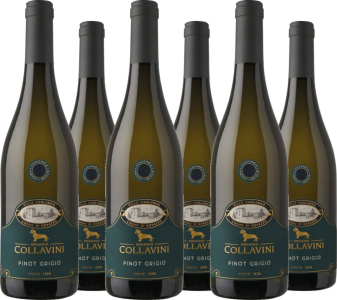 6er Vorteilspaket Villa Canlungo Pinot Grigio Collio DOC