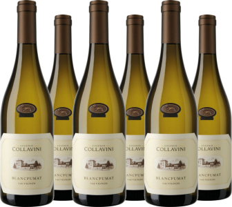 6er Vorteilspaket Sauvignon Blancfumat Collio DOC