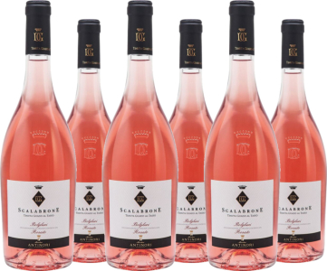 Guado al Tasso 6er Vorteilspaket Scalabrone Bolgheri DOC Rosato