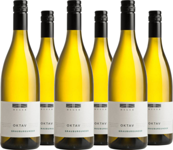 6er Vorteilspaket Grauburgunder Oktav Baden QbA trocken Weinhaus Joachim Heger