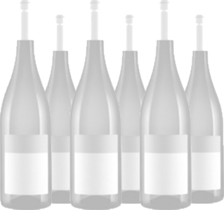 6er Vorteilspaket Dolcetto d'Alba SG DOC